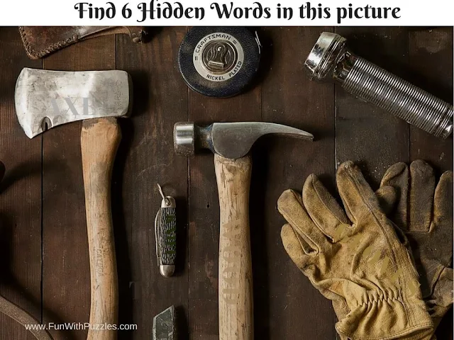 Uncover the Hidden Words: Word Hunt Picture Puzzle-4