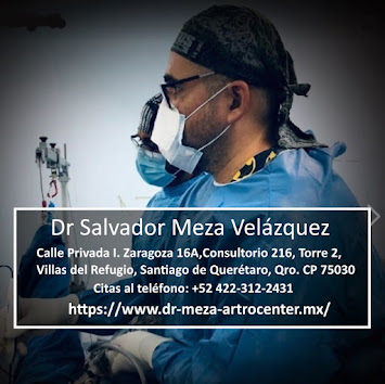 Dr. Salvador Meza Velázquez