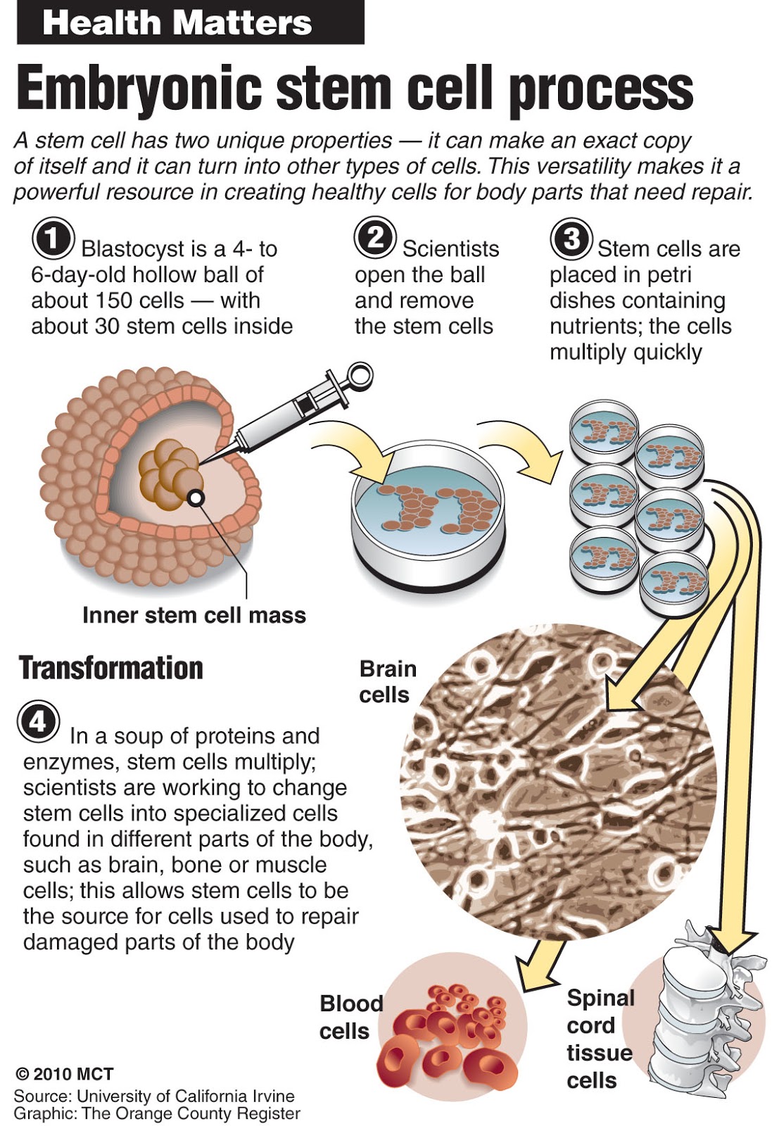 Cell proliferation. Explore the workflow bioprocess. Array process cf process cell process module process oled lighting. Entosys cell process. Energy production cellular respiration.