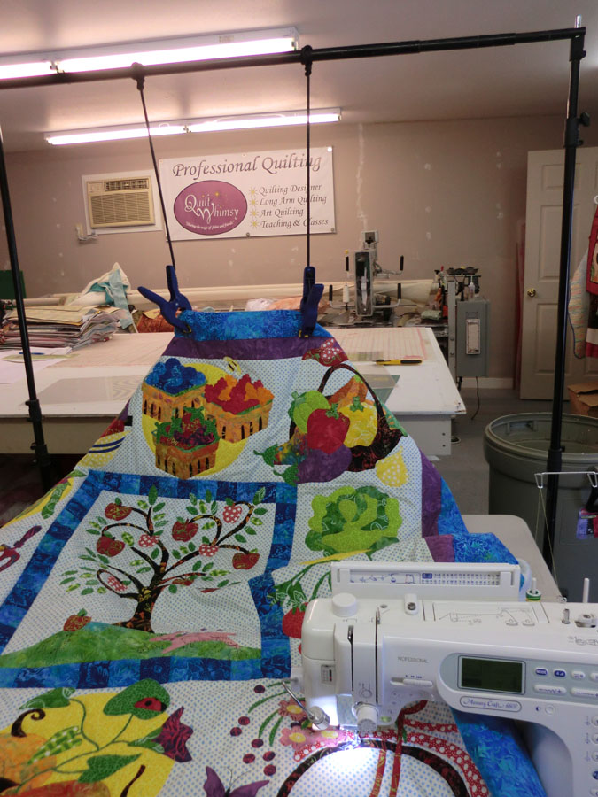 Quilt Whimsy WeightFree Quilting Solution.