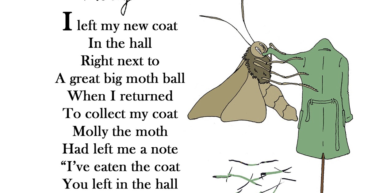 Piddly poems Molly the Moth Taken from the new book "100 Piddly Poems"