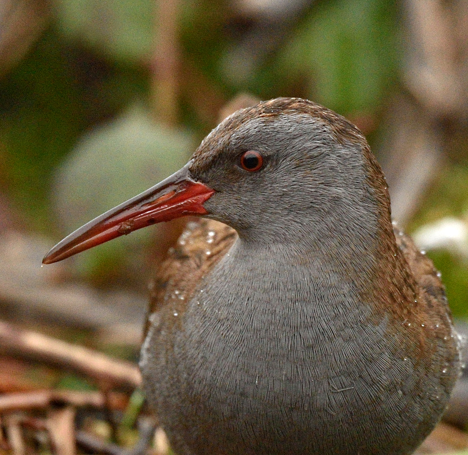 Alan James Photography Good Day Or Bad Day alan-james-photography-good-day-or-bad-day