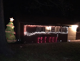 Christmas lights in Laurel's yard