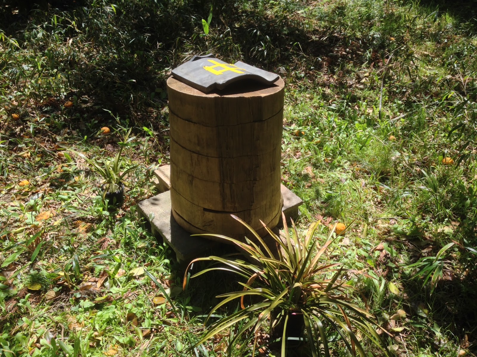 間伐材養蜂箱