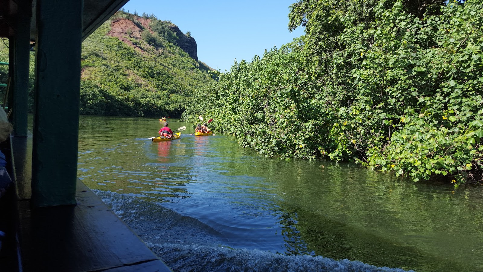 Kauai Vacation Fern Grotto