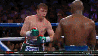 Floyd Mayweather Canelo GIF