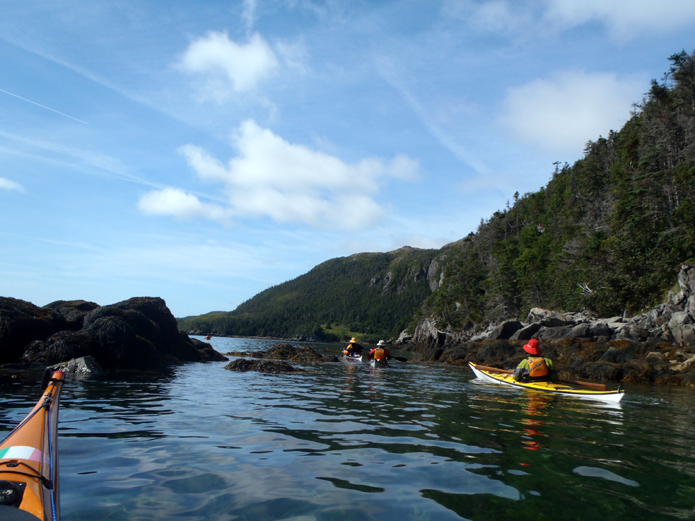 My Newfoundland Kayak Experience Placentia Bay 2015 Touring Presque Harbour