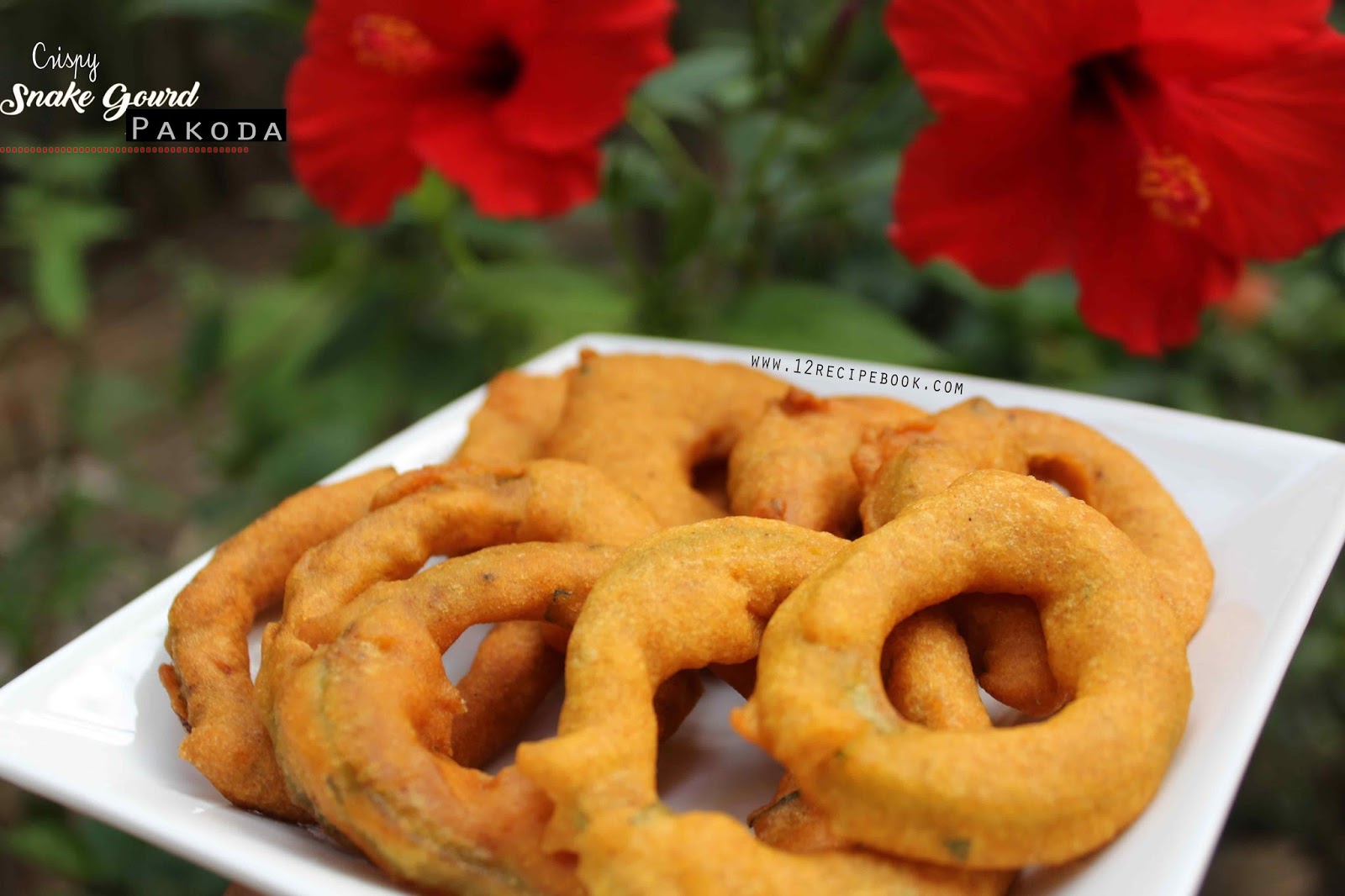 Snake Gourd Pakoda Recipe Book