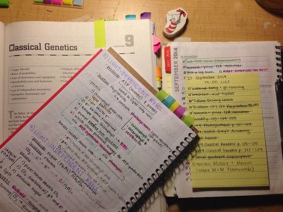 Kemahiran Mengambil Dan Membuat Nota Cara Membuat Nota