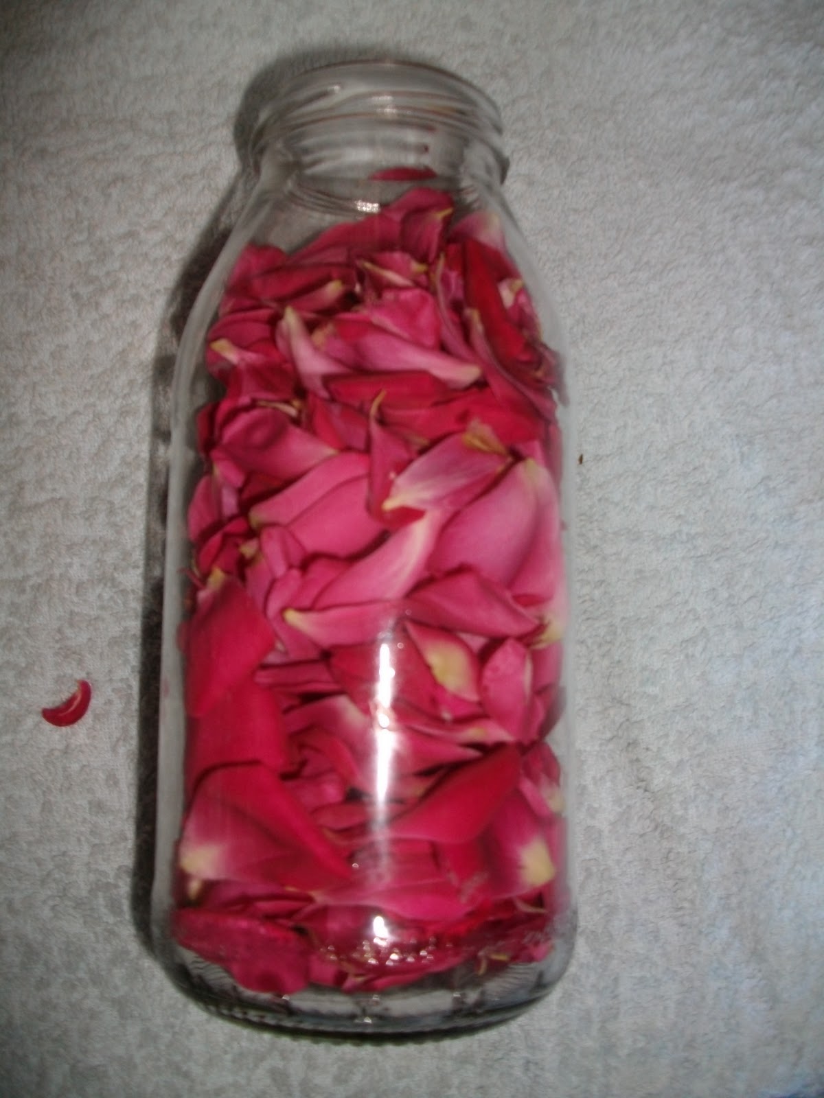 Acqua di rose fatta in casa: come realizzarla in poche mosse