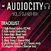 Audiocity Vol.2 - DJ Ashish