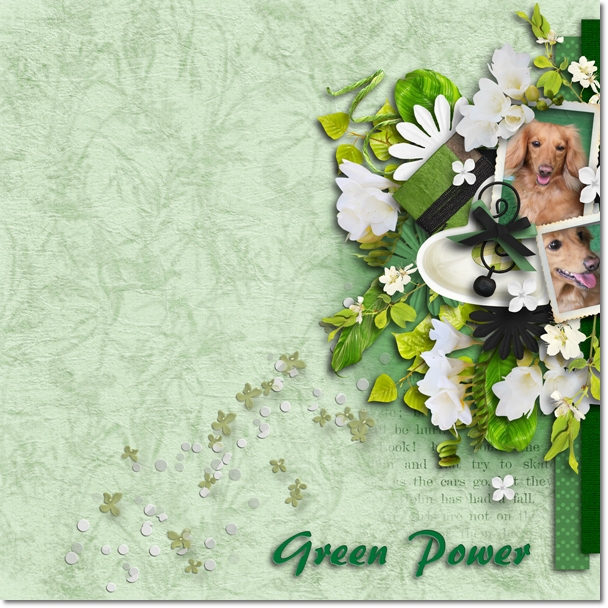 DSB　　Green Power