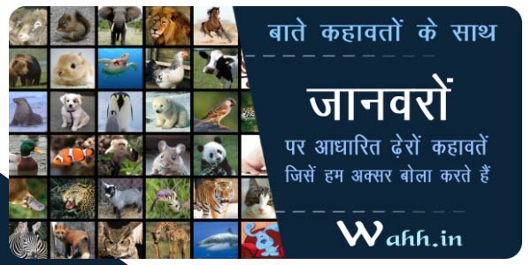 89+ 》जानवरों पर बनी ढेरों मज़ेदार कहावतें और डायलॉग । Proverbs And  Dialogues On Animals Hindi - Wahh