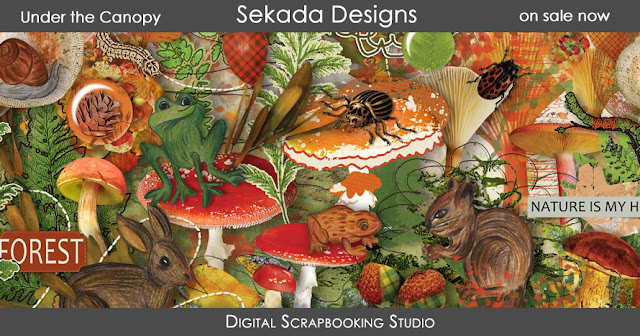 https://www.digitalscrapbookingstudio.com/sekada-designs/?category_id=4670