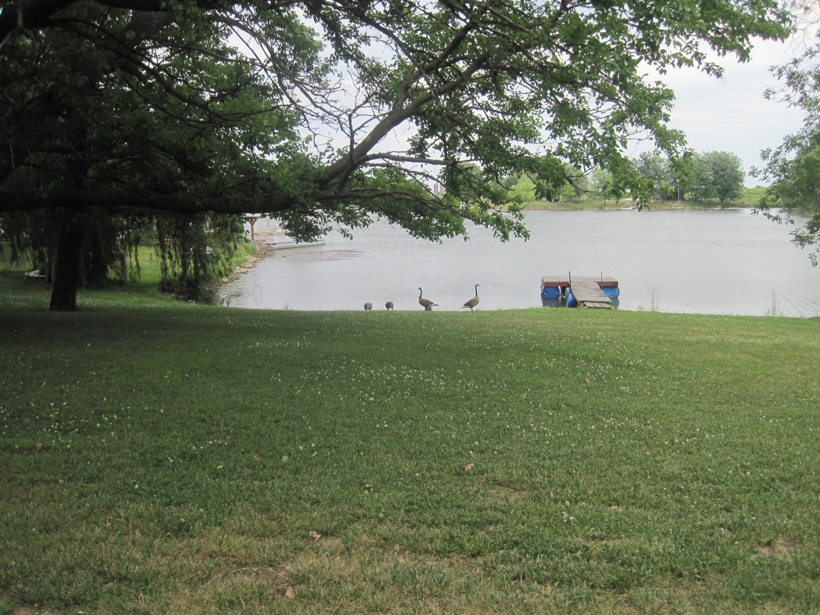 Rita's Sew Fun Ronda's Place in Baring