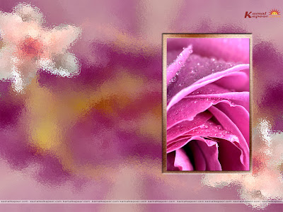 solid color wallpapers