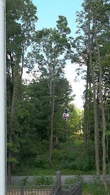 things to do in Mooresville with Teens Flying Eagle Zipline Pioneer Park