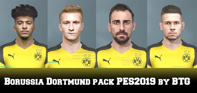 Borussia Dortmund Mini Facepack PES 2019