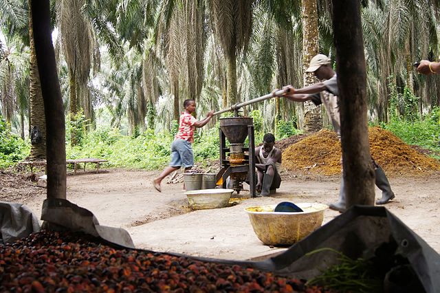 producción de aceite de palma