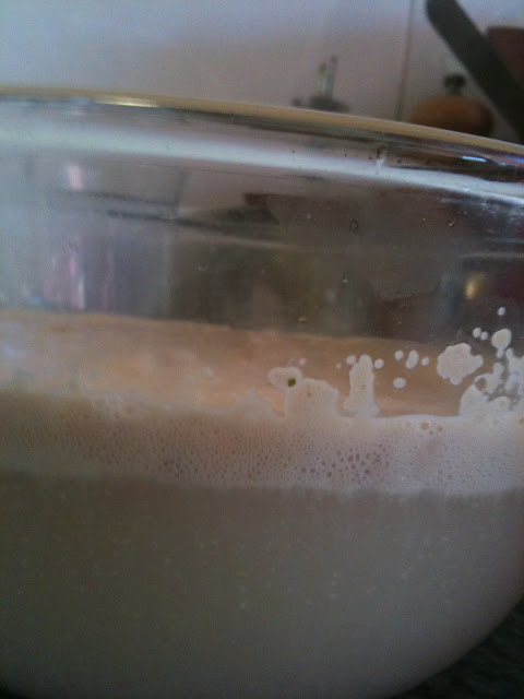 side view - proofed yeast