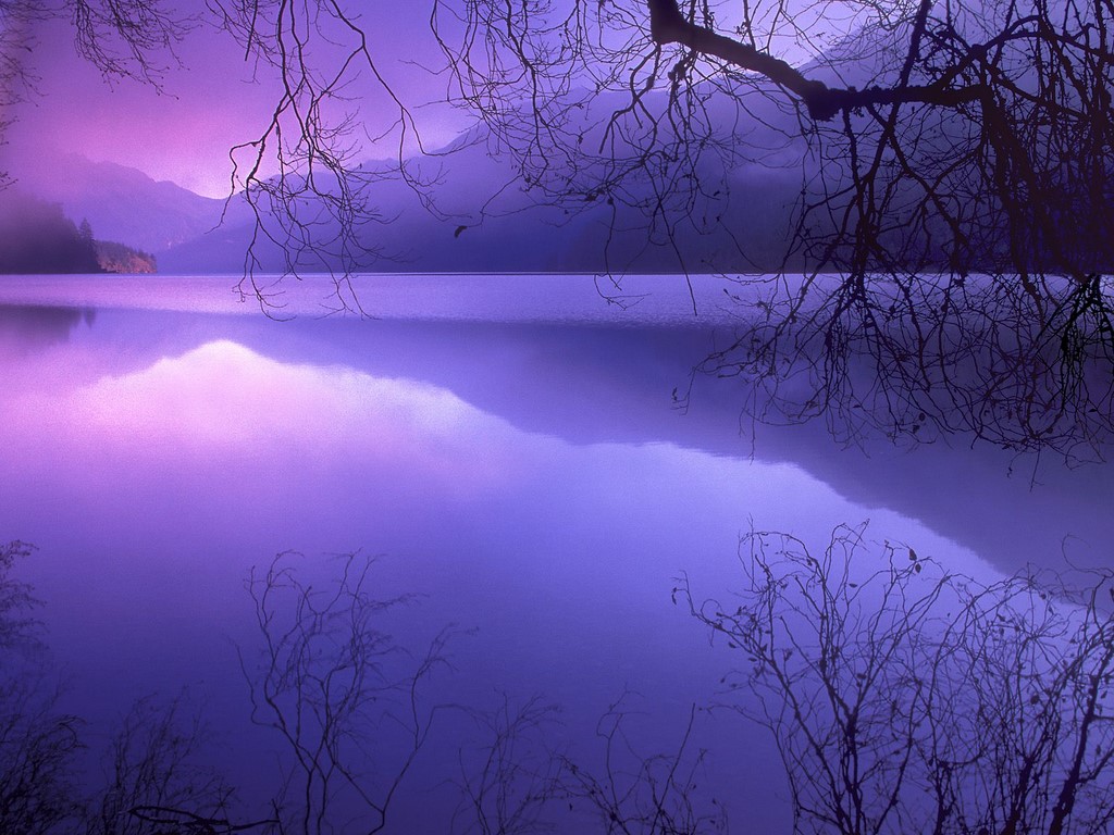 Info Wallpapers: purple wallpaper desktop