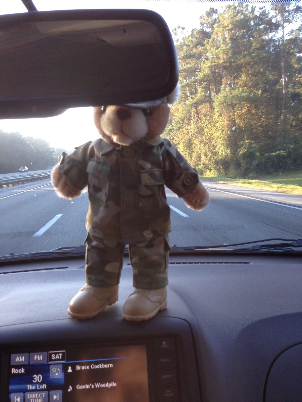 Capt. Beara Hanson or: How I Learned to Stop Worrying and Love a Bear