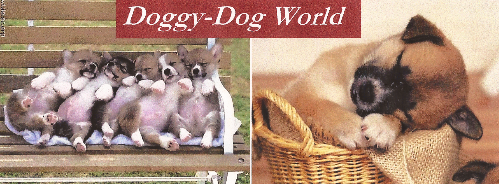 Doggy-Dog World