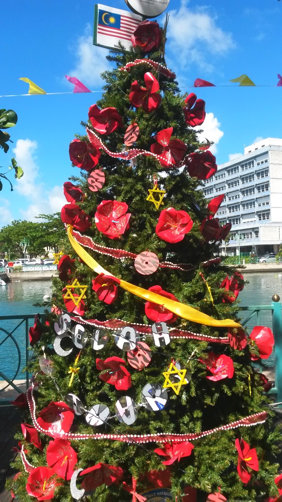 Barbados Christmas Trees