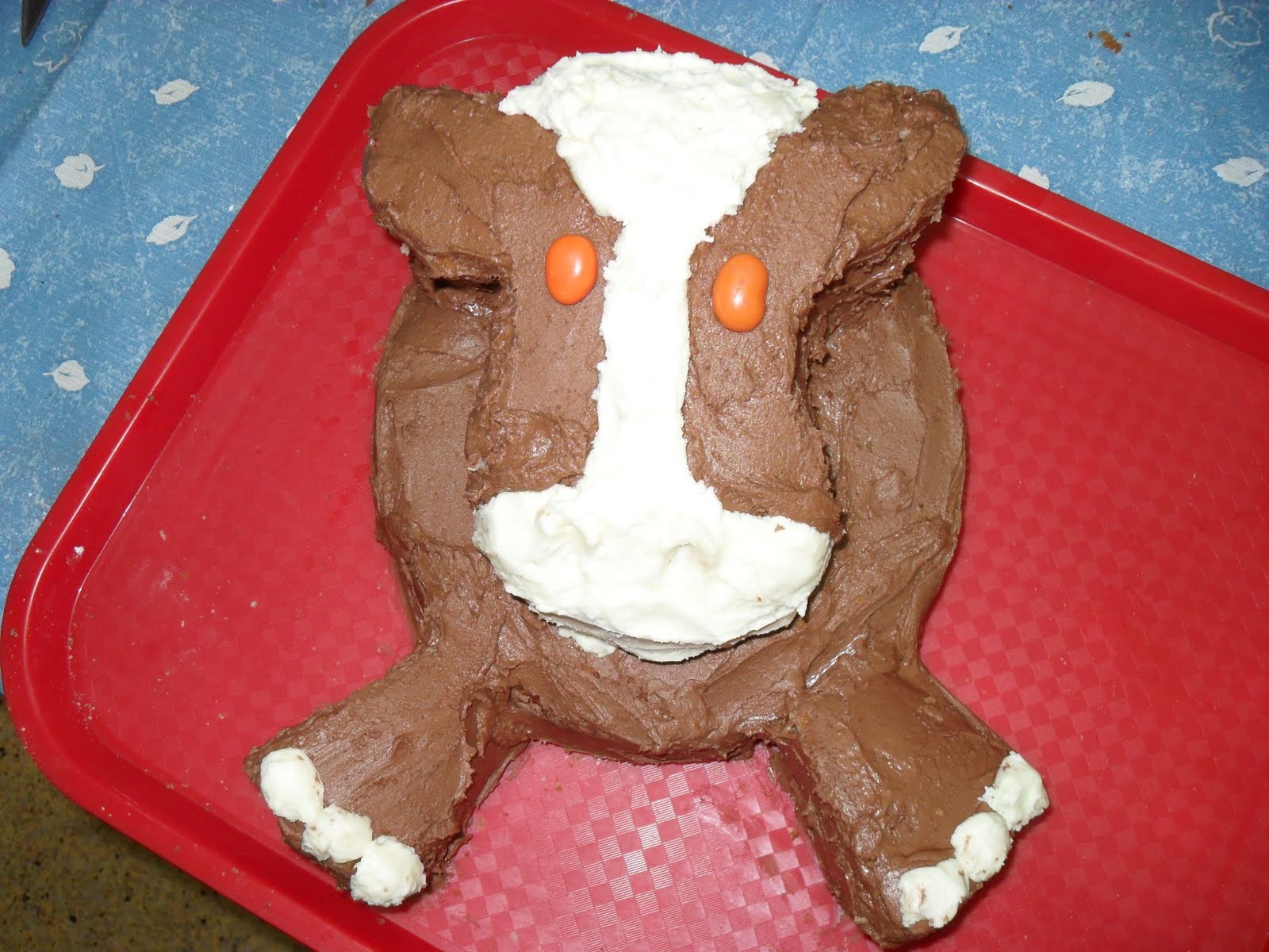 Novelty Cake Designs How to make a Cow Cake