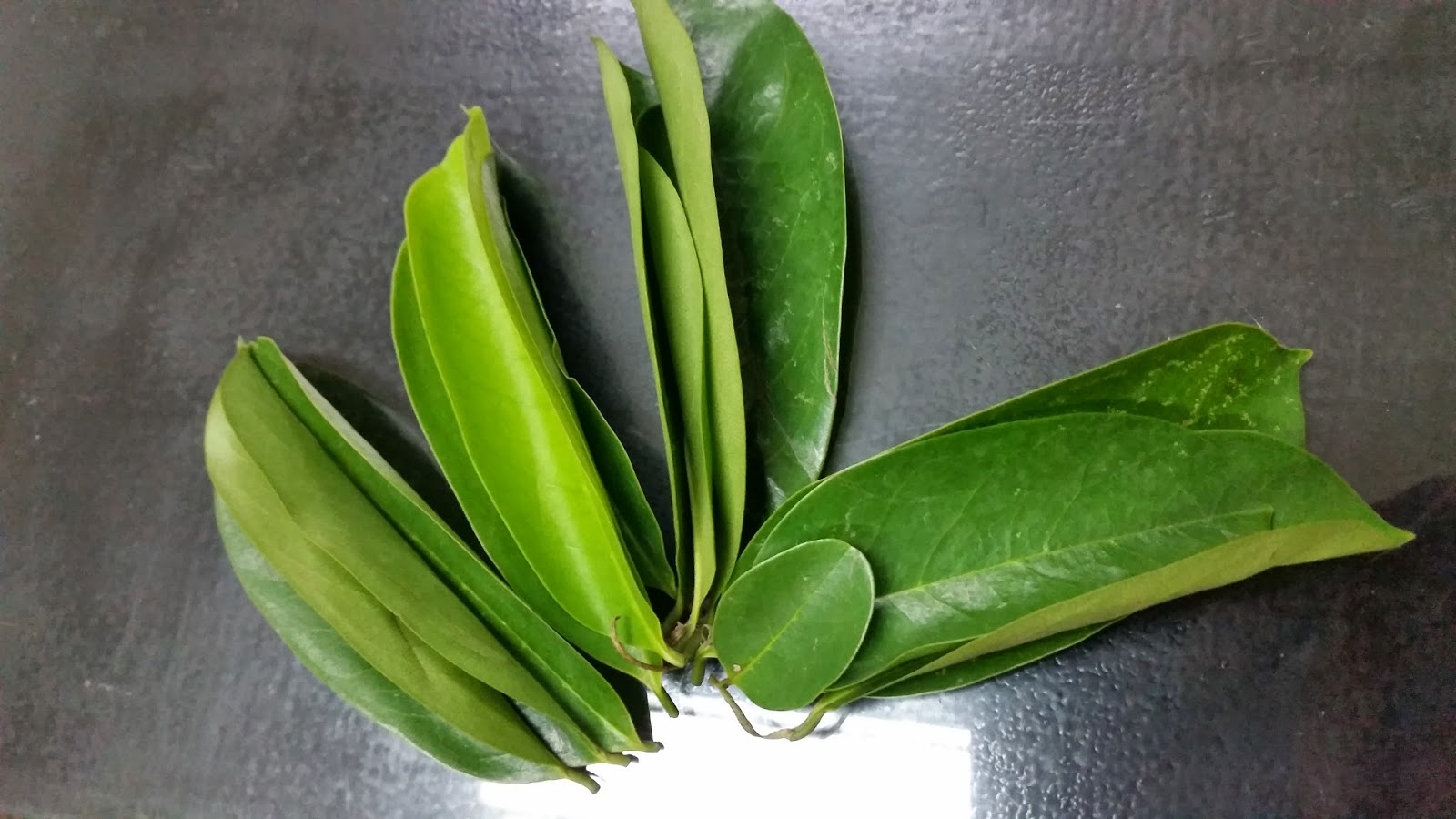 eat all you can Benefits of Guyabano Leaves