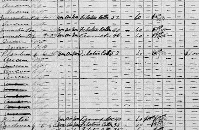 >Montreal Essay Writers, Buy essays in montreal, term papers and assignments