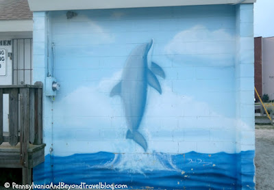 David Dunleavy SeaLife Wall Murals in North Wildwood