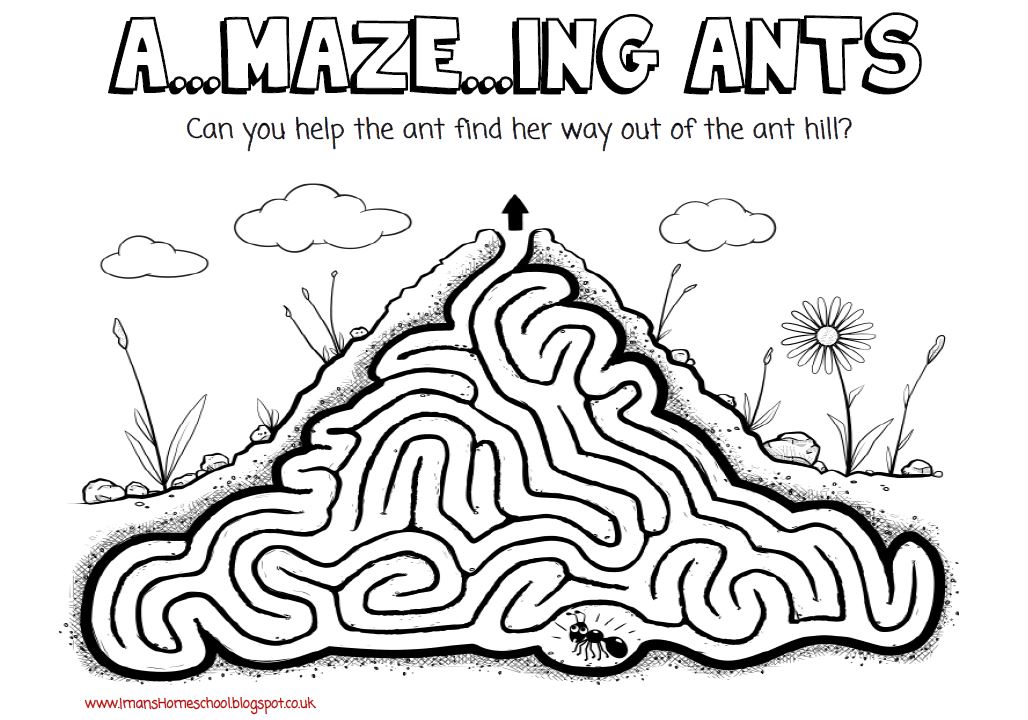 iman-s-home-school-ants-unit-study