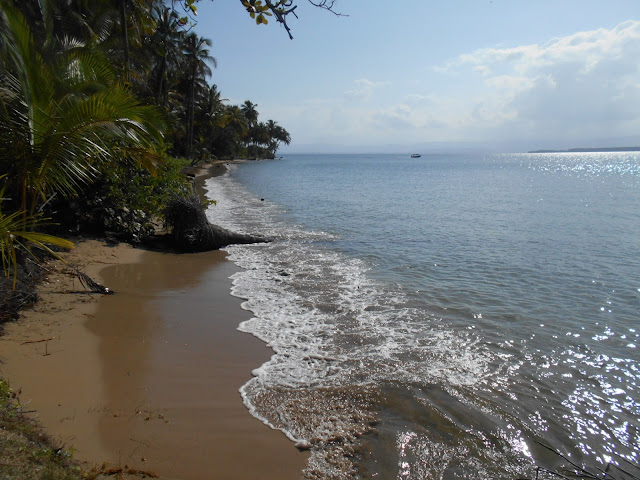 Bocas del Toro beach
