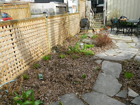 Paul Jung Gardening Services Toronto Leslieville spring garden clean up before