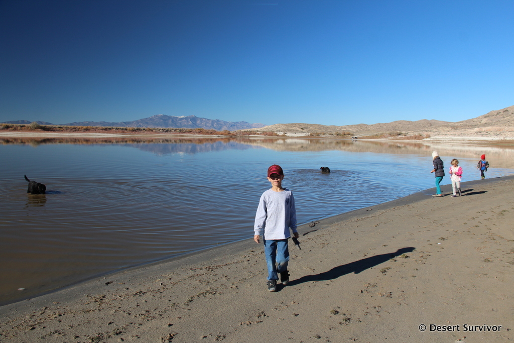 Desert Survivor An Early Winter Visit to Pruess Lake
