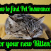 The most effective method to Find Pet Insurance for Your New Kitten
