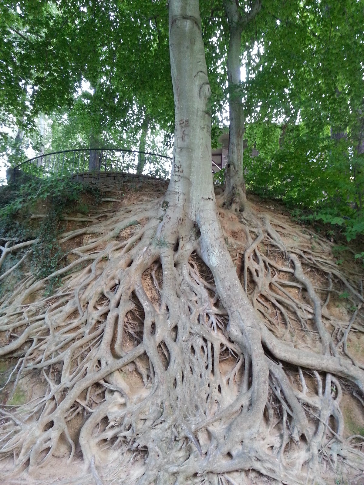 Duck Notes Date Night In Greenville duck-notes-date-night-in-greenville