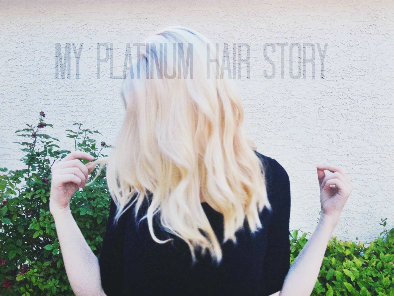 How I Dyed My Hair Platinum Blonde At Home