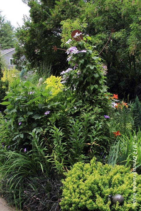 Descubriendo hojas: El jardín de Linda Ernst #gbfling14