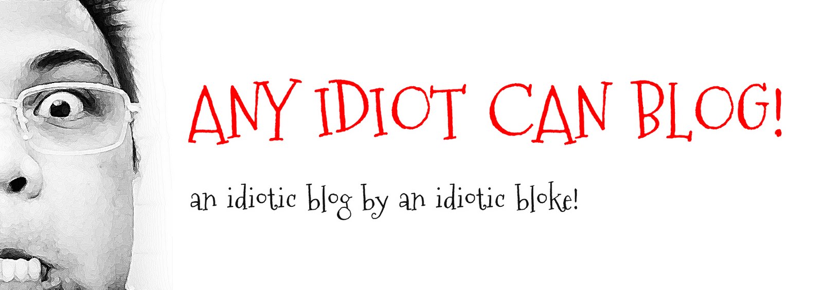 ANY IDIOT CAN BLOG!