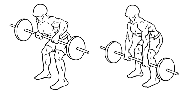 Simple And Effective Gym Workout For Broad Shoulders