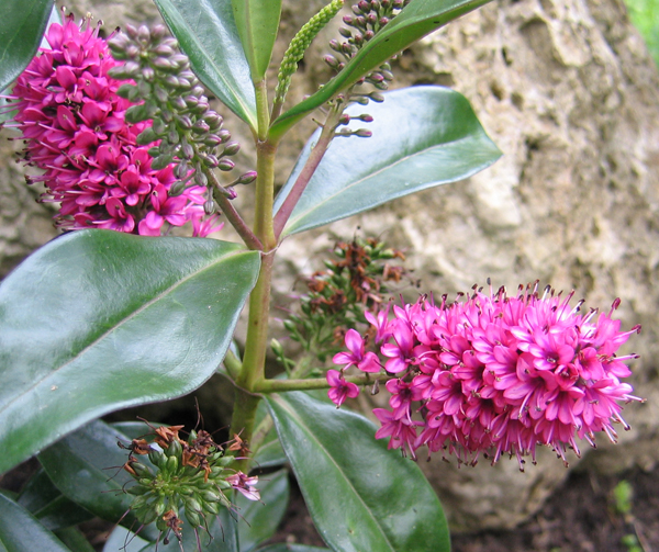 Outfit Taufe Sinnessuche