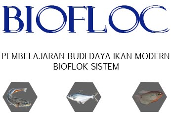 Pembelajaran Budi Daya Ikan Modern Bioflok Sistem