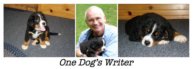One Dog's Writer