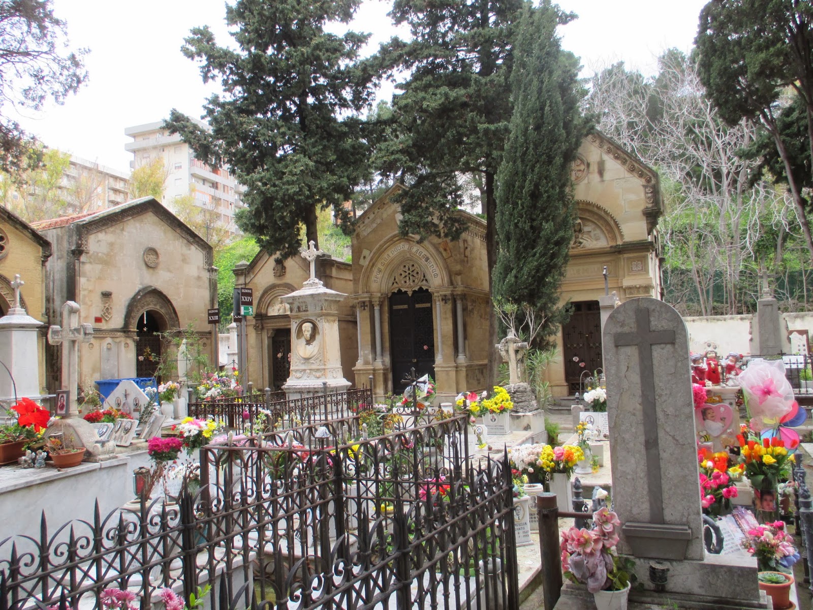 Mission Blog Palermo Cemetery