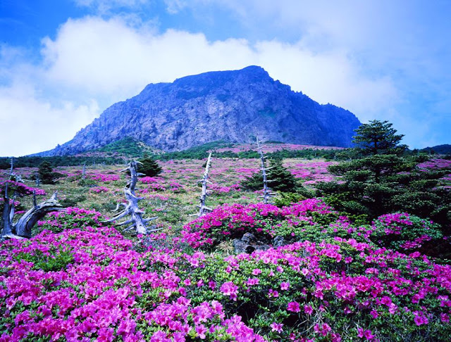 Olympics Live Tv Top 10 Beautiful Places In The World Top 10 Beautiful Places In The World