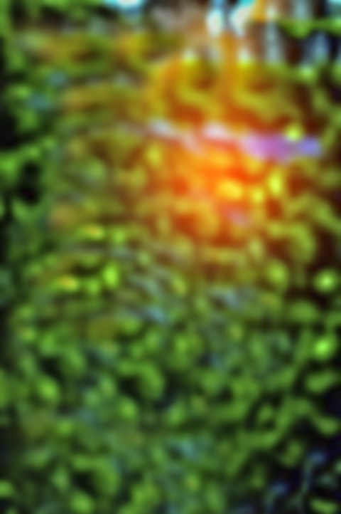 Bag Bag Round Photos Hd Download