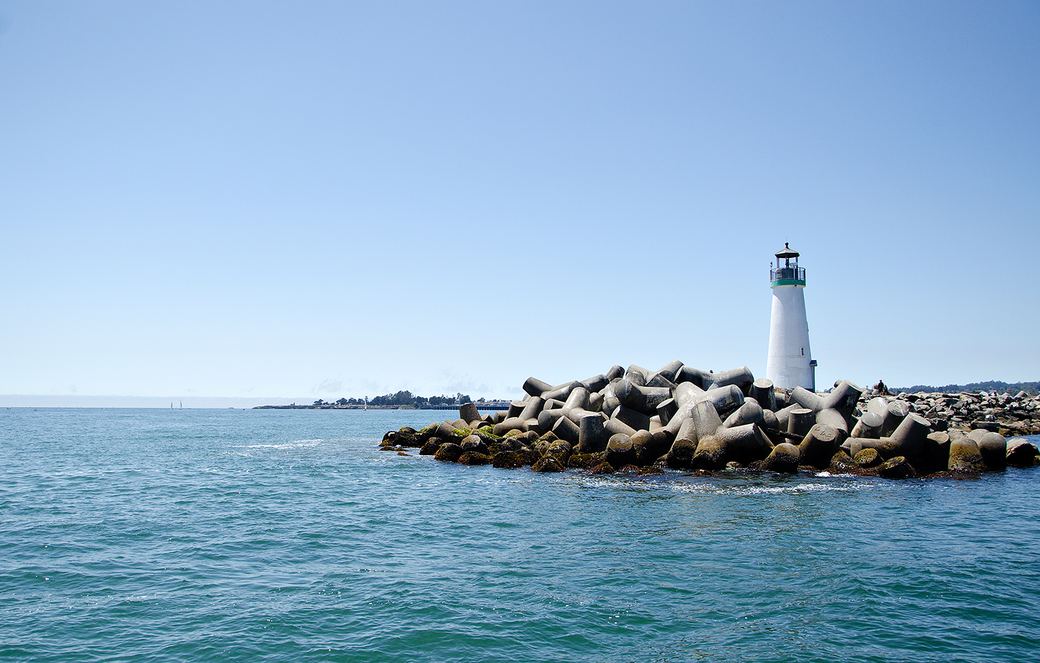 Angela Aurelio Photography: A Whale of a good time! Whale watching on