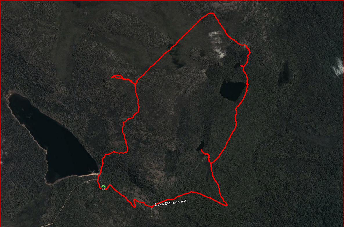Mount Field East Circuit Hiking South East Tasmania